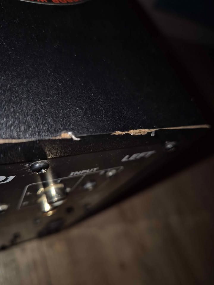 Professional DJ Studio Monitor Pair – High‑Definition Audio with RCA & Mini‑Jack Connectivity