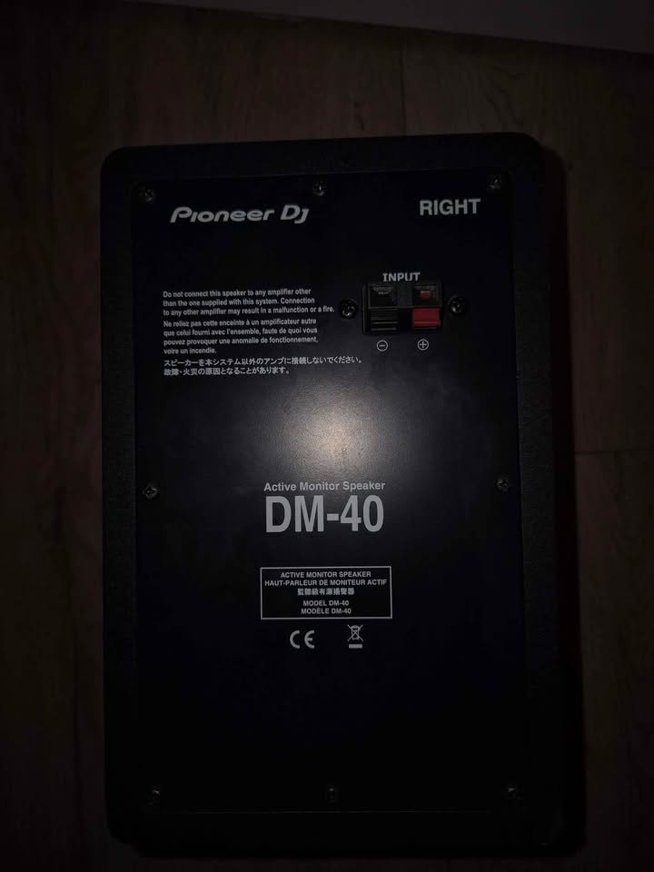 Professional DJ Studio Monitor Pair – High‑Definition Audio with RCA & Mini‑Jack Connectivity